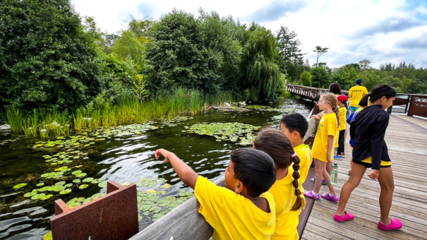 Vaughan Summer Camps Thornhill Richmond Hill York Region Kids Program Sport STEM Science Art